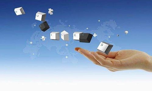 遠(yuǎn)豐電商 b2b2c商城系統(tǒng)建設(shè)哪家做的好