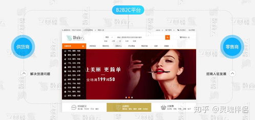 b2b2c多用戶(hù)商城系統(tǒng),功能 渠道 架構(gòu) 商業(yè)模式整合方案